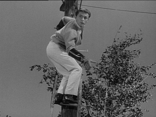 My Favorite Martian Season 2 Episode 5 - Dial M for Martin