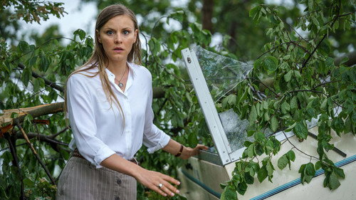 The Sandhamn Murders Season 7 Episode 4 - The Twins (2)