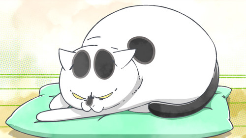 With a Dog AND a Cat, Every Day Is Fun Season 1 Episode 24 - Dog and Cat