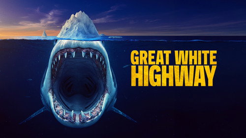 Shark Week Season 39 Episode 19 - Great White Highway