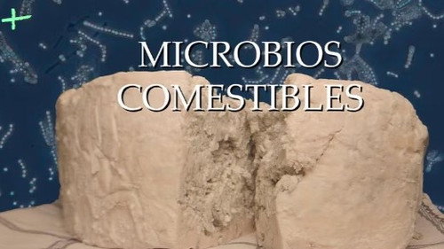 Planeta Microbio Season 1 Episode 10 - Episode 10