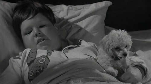The Addams Family Season 1 Episode 2 - Morticia and the Psychiatrist