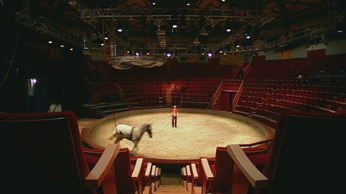 Publiek Geheim Season 4 Episode 3 - Episode 3