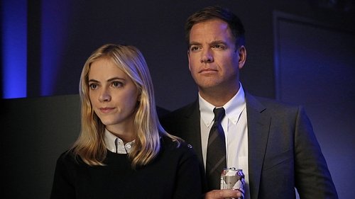NCIS Season 12 Episode 11 - Check