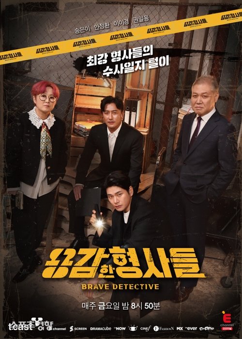 Brave Detectives poster