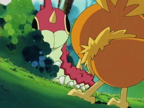 Pokémon Season 6 Episode 14 - All in a Day's Wurmple