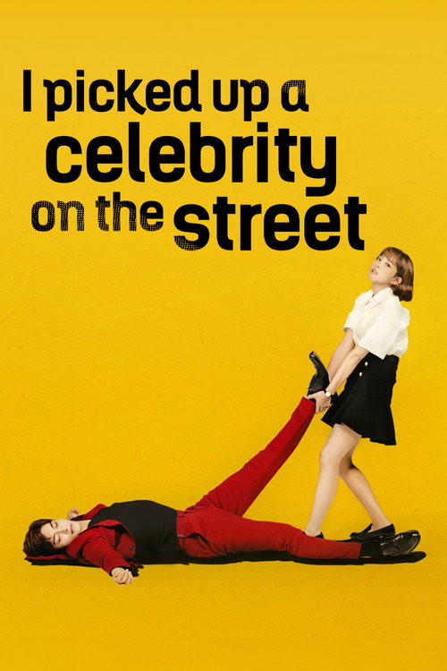 I Picked Up a Celebrity On the Street poster