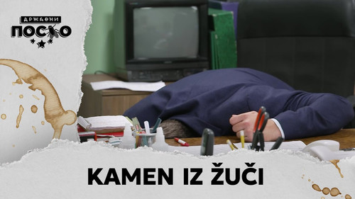 2248 Kamen iz žuči still