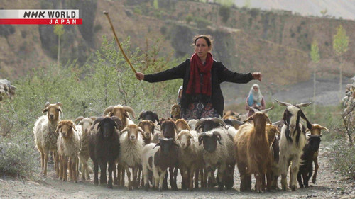 Asia Insight Season 12 Episode 21 - Herding Above the Clouds: Pakistan