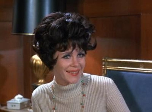 Bewitched Season 8 Episode 17 - Serena's Richcraft