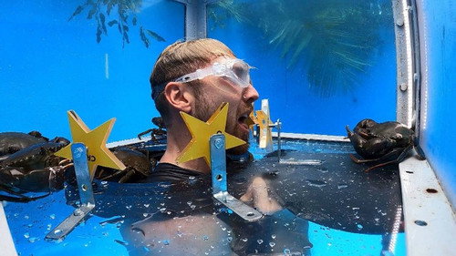 I'm a Celebrity...Get Me Out of Here! Season 23 Episode 8 - Fishy Business