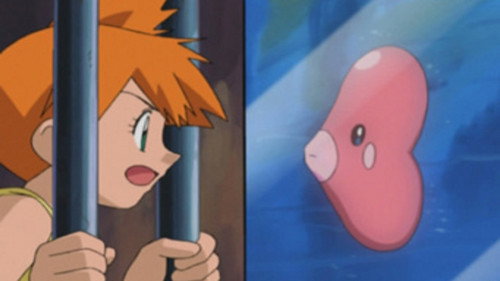 Pokémon Chronicles Season 1 Episode 14 - Luvdisc Is a Many Splendored Thing!