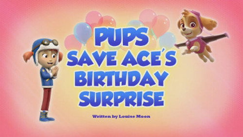 Pups Save Ace's Birthday still
