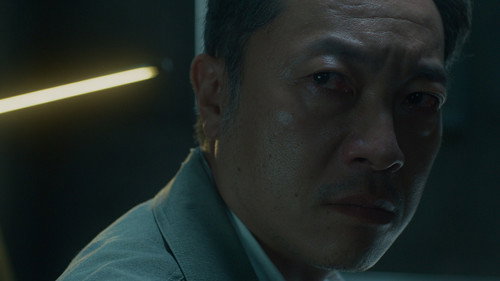 The Undetected Truth 2 still