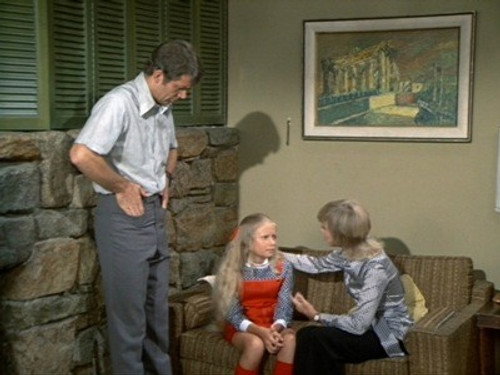 The Brady Bunch Season 3 Episode 10 - Her Sister's Shadow