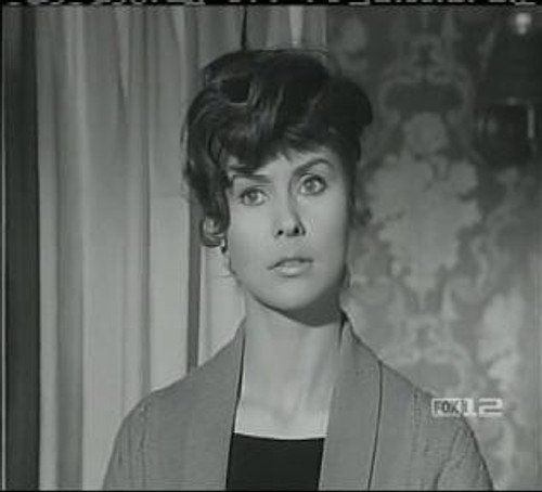 Perry Mason Season 8 Episode 15 - The Case of the Frustrated Folk Singer