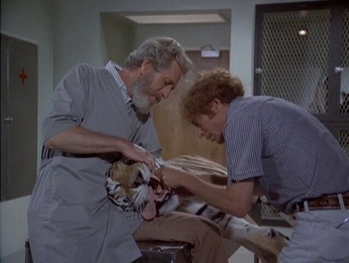 Quincy, M.E. Season 4 Episode 1 - The Last Six Hours
