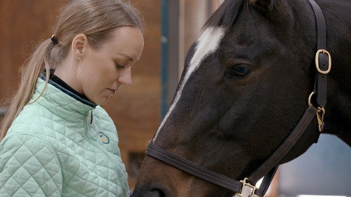 Farm Crime Season 2 Episode 3 - Missing Mare