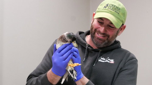 Heartland Docs, DVM Season 2 Episode 7 - Down in The Ducks