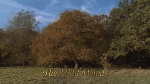 Natural World Season 23 Episode 6 - The Wild Wood