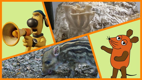 Die Sendung mit der Maus Season 56 Episode 9 - Episode 9
