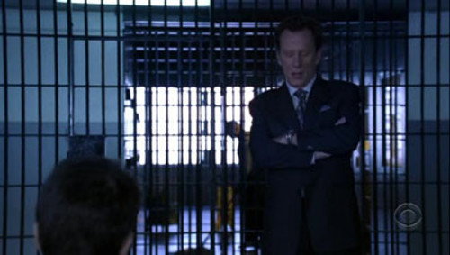 Shark Season 1 Episode 7 - Déjà Vu All Over Again