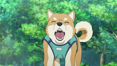 My Beloved Dog Pan-kun Is a Good Boy still