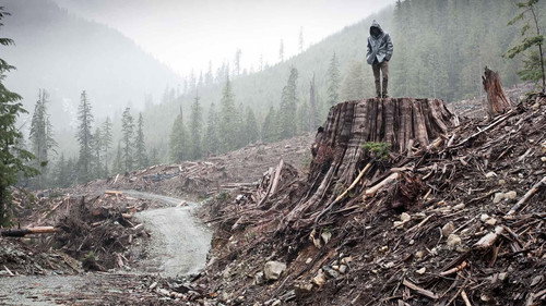 Point of View Season 24 Episode 11 - If a Tree Falls: A Story of the Earth Liberation Front