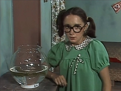 El Chavo del Ocho Season 7 Episode 17 - Las Mascotas