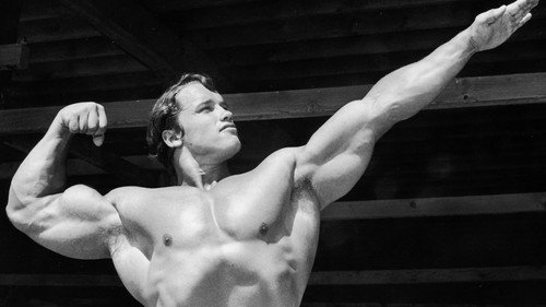 Nine Lives Of... Season 1 Episode 2 - Arnold Schwarzenegger