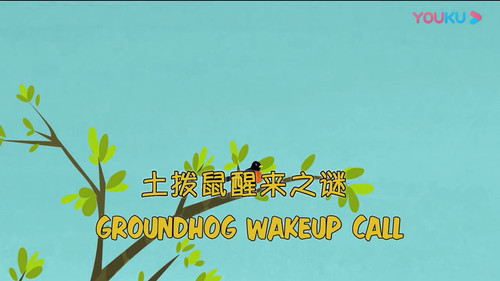 Groundhog Wake Up Call still