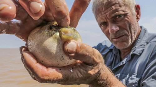 River Monsters Season 7 Episode 2 - Mekong Mutilator