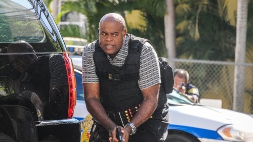 Hawaii Five-0 Season 6 Episode 17 - Waiwai (Assets)