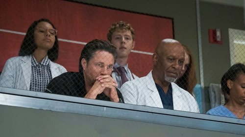 Grey's Anatomy Season 14 Episode 1 - Break Down the House