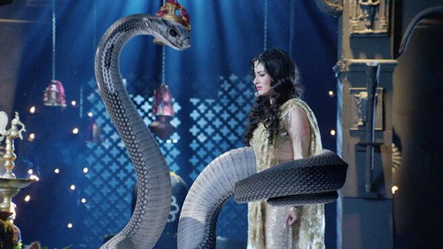 Shivanya Confronts Sesha still