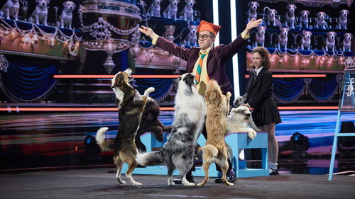 Romania's Got Talent Season 16 Episode 17 - Episode 17