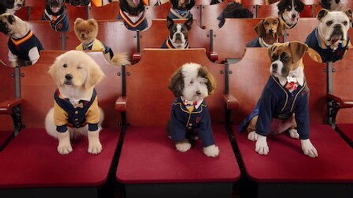 Pup Academy Season 2 Episode 1 - The Constellation Fades