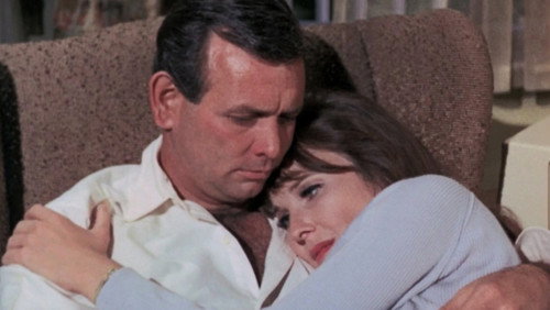 The Fugitive Season 4 Episode 27 - The Walls of Night
