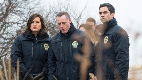 Law & Order: Special Victims Unit Season 16 Episode 20 - Daydream Believer (III)