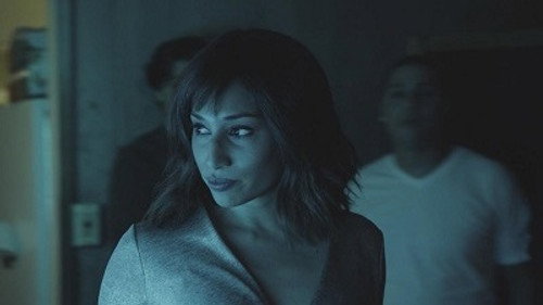 Hawaii Five-0 Season 9 Episode 20 - Ke ala o ka pu (Way of the Gun)