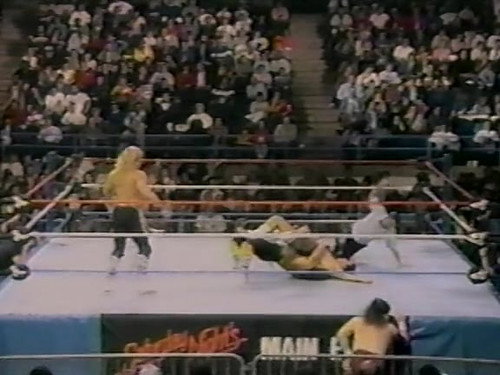 November 19, 1988 - Superstars of Wrestling 116 still