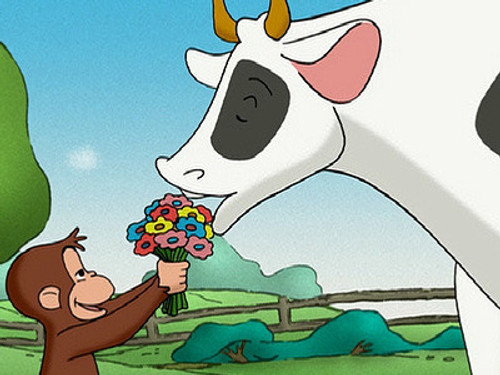 Curious George Season 1 Episode 47 - Keep Out Cows