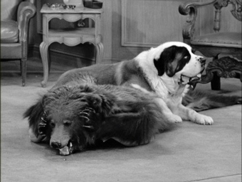 I Love Lucy Season 4 Episode 30 - The Tour