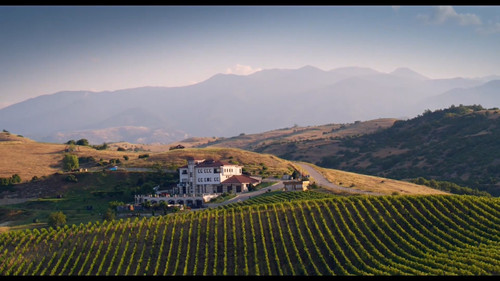 The Grapes of Guilt Season 2 Episode 1 - Riesling