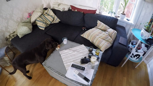 Mitt liv som valp Season 2 Episode 10 - Episode 10