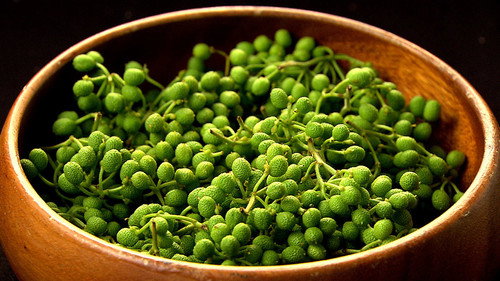 Core Kyoto Season 6 Episode 12 - Japanese Pepper: The Zesty Spice of Kyoto Cuisine