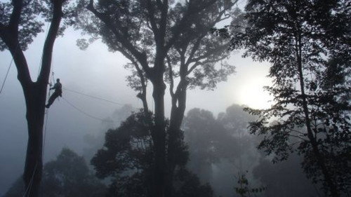 Nature Season 23 Episode 10 - Deep Jungle: New Frontiers