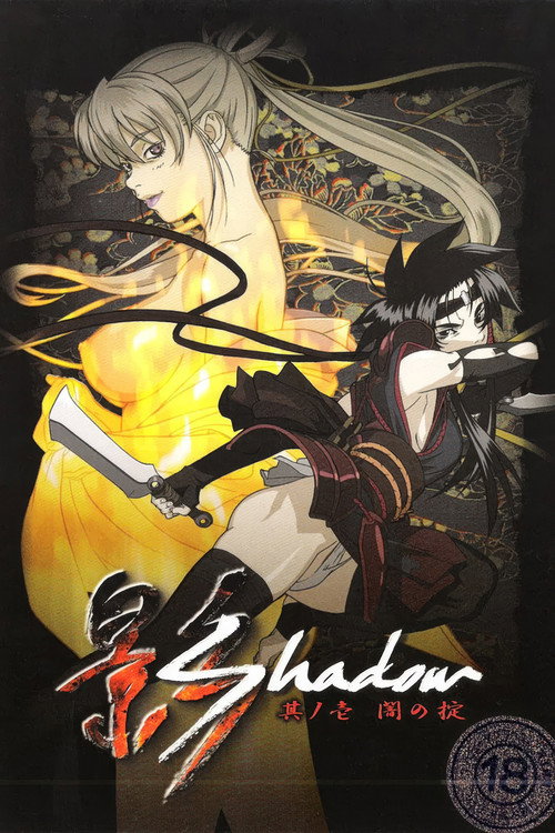 Shadow poster