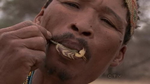 The Amazing Race Season 22 Episode 6 - Scorpion King Hunter