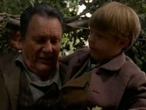 Dr. Quinn, Medicine Woman Season 3 Episode 2 - Fathers and Sons